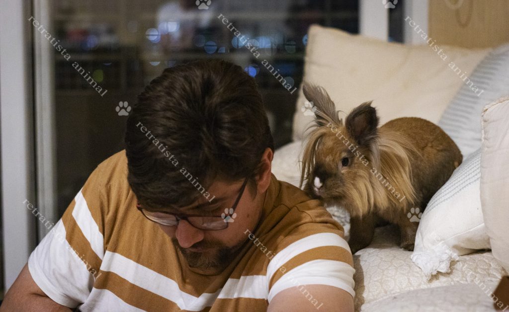 dueño sentado en el piso apoyado en el sofa donde esta su conejita libre sentada mirando lo que su dueño tiene en sus manos