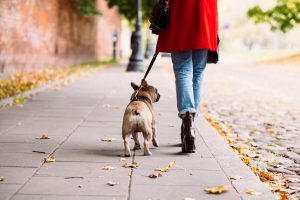 mujer caminando por la calle con su frenchy